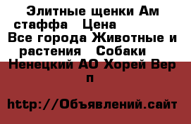 Элитные щенки Ам.стаффа › Цена ­ 25 000 - Все города Животные и растения » Собаки   . Ненецкий АО,Хорей-Вер п.